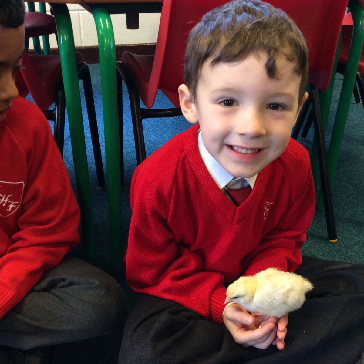 Gonerby Hill Foot Church of England Primary School - Spring Lambs and ...